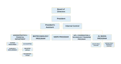 ncrd  structure 